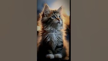قرآن كريم ❤️اكتب شيئ تؤجر عليه#اكسبلور #لايك #صوت #ايات_قرانيه_قصيره #story