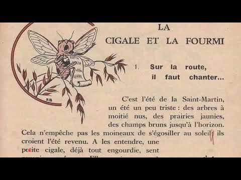 Cigale et fourmi _   الدرس 3  تعلم الفرنسية عن طريق النصوص