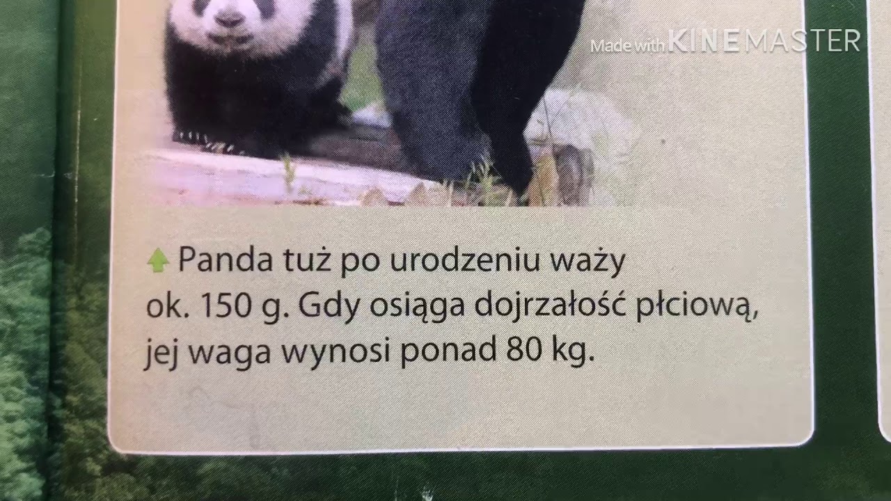 Nbiologia Jako Nauka Sprawdzian Klasa 5 Chomikuj Biologia klasa 5, 1.1. Biologia jako nauka - YouTube