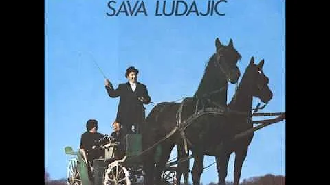 Sava Ludajic - Banatsko kolo - (Audio)