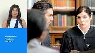 Qu es una audiencia de pruebas y alegatos