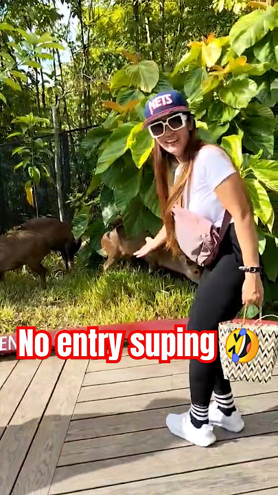 Download lagu no entry daw 🤣🇸🇬 #shorts