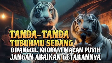 Waspada❗Jika 7 Tanda Ini Muncul, Khodam Macan Putih Sedang Mencoba Menyatu Denganmu