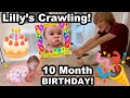 Lilly is CRAWLING!