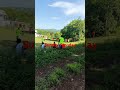 Fun-day on a Sunday.. #soccer # #friends #jamaica #fun #health