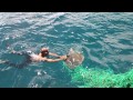 Video completo Salvamento tartarugas marinha - Fernando de Noronha PE