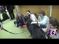 Therapy Dogs visit with WIU students in a new mental health initiative