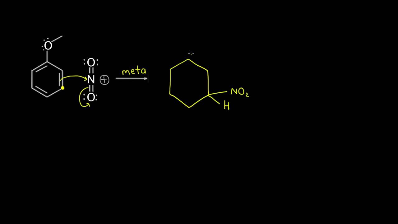 Directores Orto Para I Youtube
