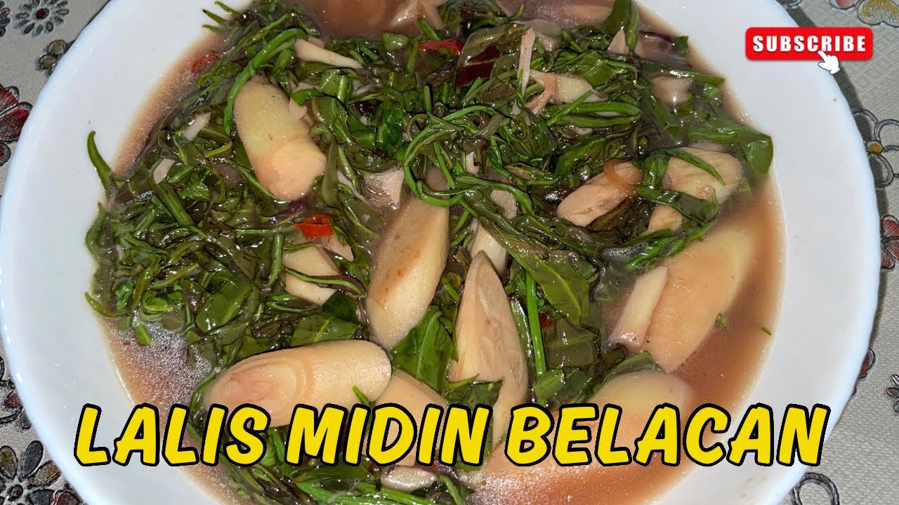 🔴 SELERA ANAK IBAN: LALIS MIDIN GORENG BELACAN