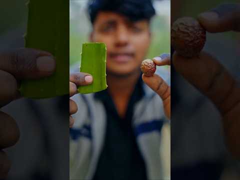 I Made Natural Shampoo From Aloe Vera Aloevera 