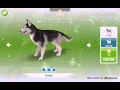The sims free play pet shop.