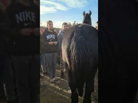 سوق الخميسات مع بدريس عطينو 4000درهم فاجدع دهم