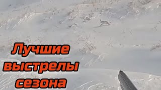 Лучшие выстрелы сезона с ИЖ-54 и ТОЗ-34 Охота на зайца.