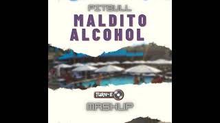 DJ Turn-E and  Dj Mag - Pitbull & Afrojack - Maldito Alcohol (Remix)