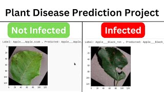 Plant AI: Recognition of Plant Diseases by Leaf Image Classification using Python n Machine Learning
