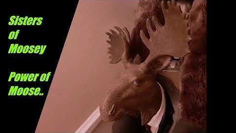Sisters of Moosey - The Power of Moose