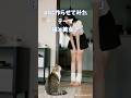 AIに作らせてみたテーマ「猫と美女7」 #美女