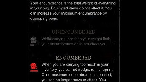 New World - Encumbered Bug