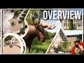 Tour and Overview of Everything so far | Eve Zoo | Planet Zoo Tour