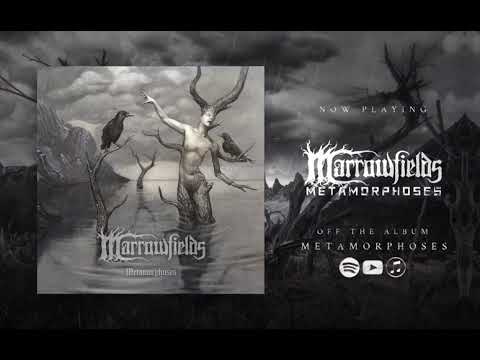 Marrowfields - Metamorphoses (Official Audio 2020) | Black Lion Records