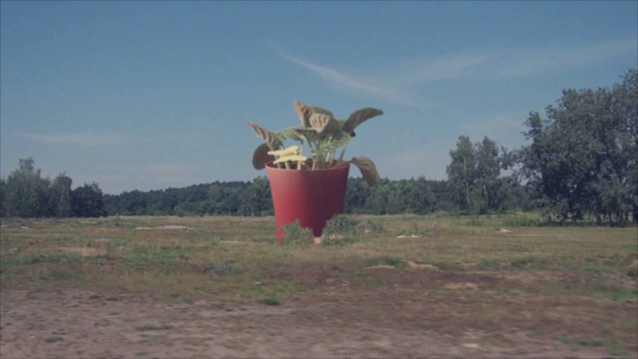 Flower In Radouč | ♪ Coldplay - Up&Up ♪ camera iphone 8 plus apk