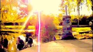 Francis Goya La Paloma Guitar