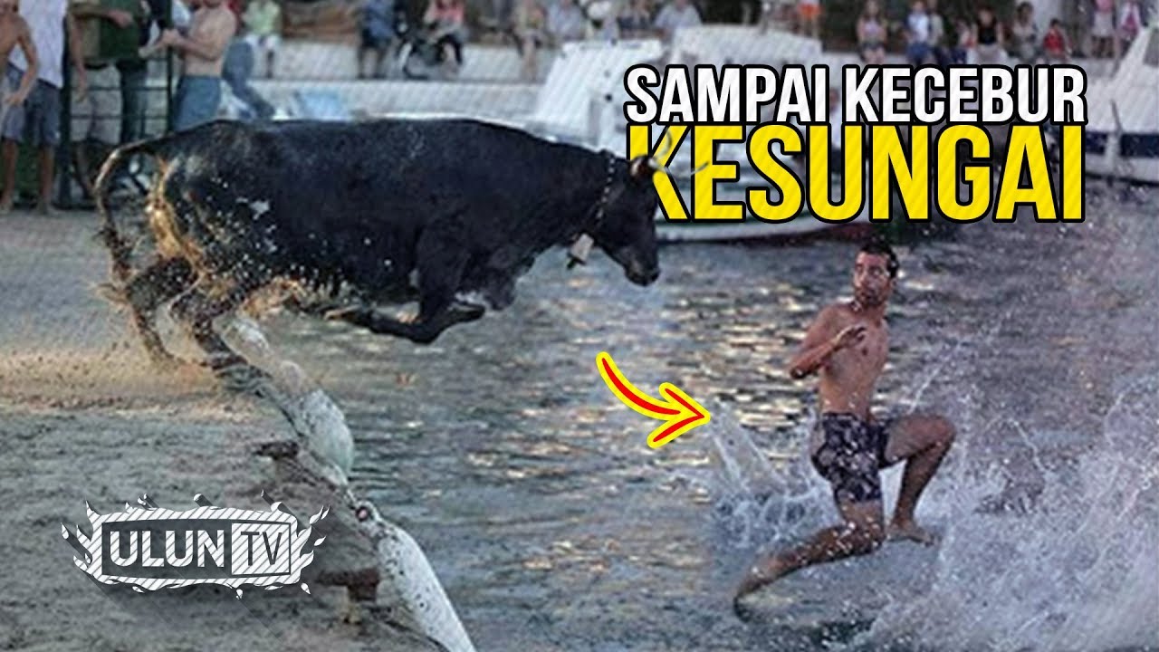 980 Gambar Memotong Hewan Kurban Lucu Gratis Terbaik