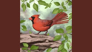 Northern Cardinal