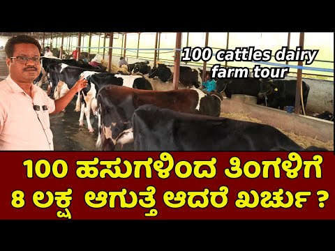 ದಿನಕ್ಕೆ 700 ಲೀಟರ್ ಹಾಲು 100 ಹಸುಗಳ ದೊಡ್ಡ ಡೈರಿ ಫಾರ್ಮ್ ಟೂರ್| dairy farming in Kannada
