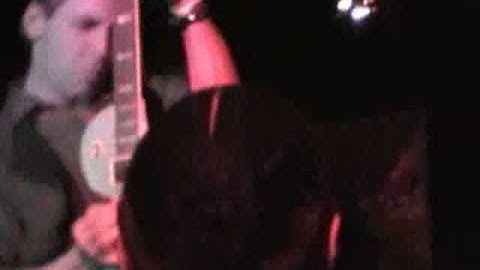 KONNIPTION FIT "Catnip"