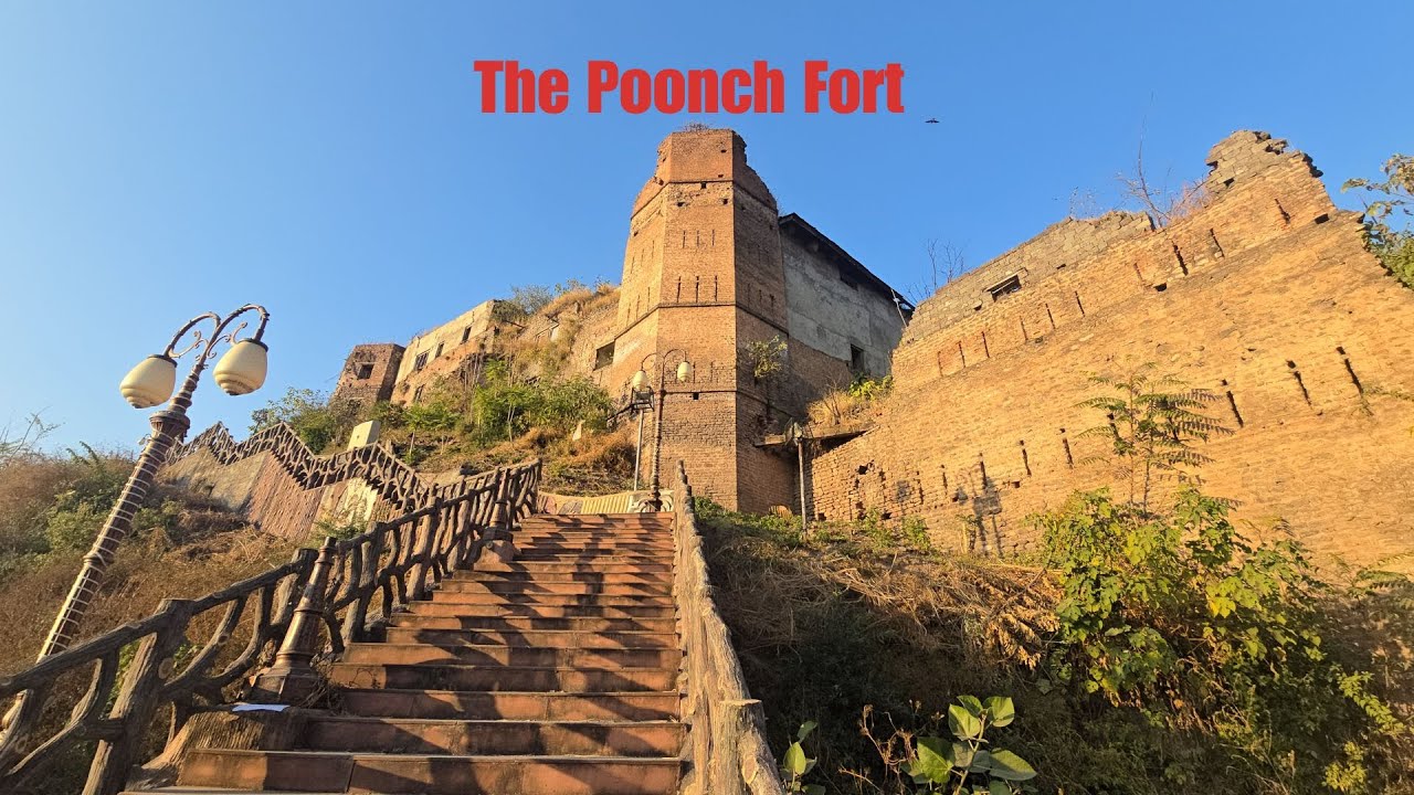 𝐓𝐡𝐞 𝐏𝐨𝐨𝐧𝐜𝐡 𝐅𝐨𝐫𝐭