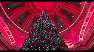 ALBERT HAMMOND - &quot;Under The Christmas Tree&quot;