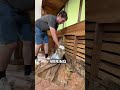 My $25K Abandoned Japanese House #akiya