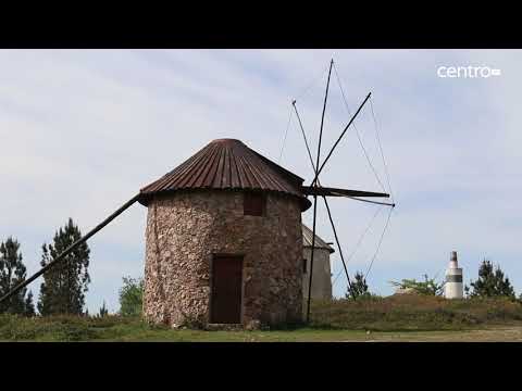 Arte dos moleiros transmitida a uma nova geração em Penacova