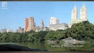 Do Any Parks in NYC Come Close to Central Park in Terms of Acreage