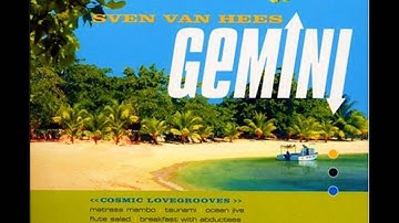 Sven Van Hees - Tsunami Inside My Soul