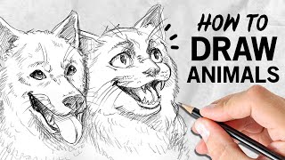 Cara menggambar HEWAN | Tutorial Menggambar | Drawlikeasir