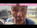 あなたに届けたい、このぬくもり【園芸のぶチャンネル】