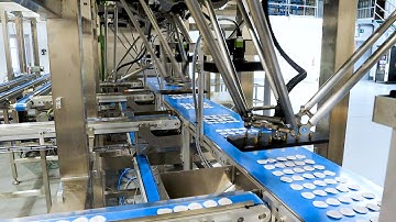 Quad Delta Robot Cell With Vision Inspection System