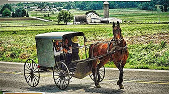 Survival Lessons from the Amish