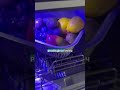 Pastatoma indaplovė PUREA Turbo - ne tik indams, bet ir vaisiams plauti