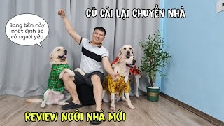 Review ngôi nhà mới của Củ Cải - Chắc là Cà Rốt sắp lấy vợ chứ gì