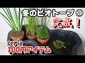 メダカ冬のビオトープ③　seria100均アイテムで完成！【メダカ水槽#26】