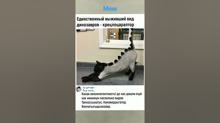 МеМ динозавр🤣🤣🤣🤣🤣