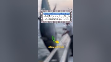 تلاوة خاشعة وهادئة مختارة من سورة المائدة || الآية 96 || القارئ عماد حرابي