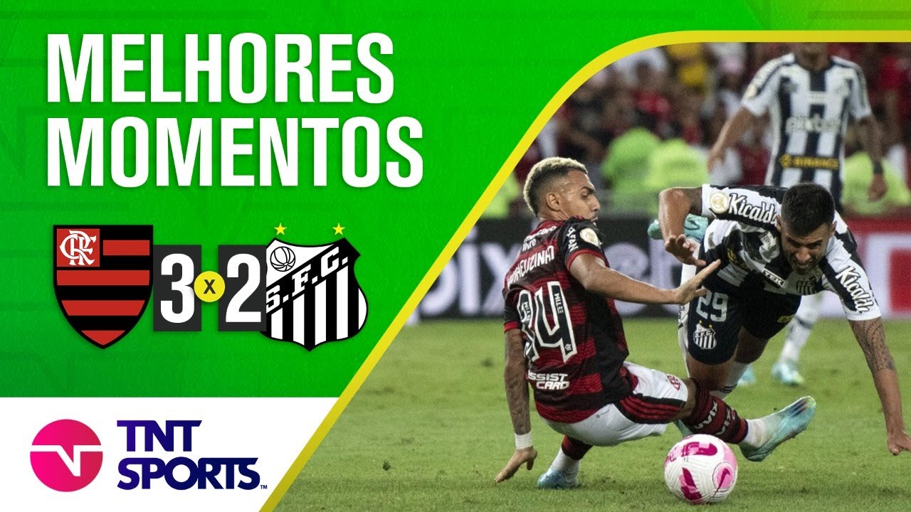 Flamengo 1 x 2 Santos  Campeonato Brasileiro: melhores momentos