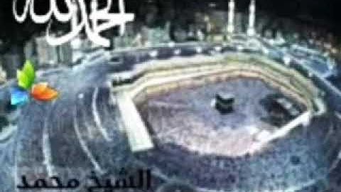 سورة الحجرات، الشيخ محمد المحيسني