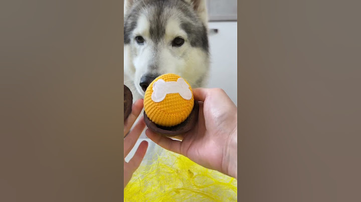 Il mio CANE APRE il suo UOVO di PASQUA🐶😋🐣 #cane #dog #sorpresa #surprise