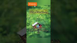 وعسى ان تحبوا شيئاً وهو شر لك / عبارات جميلة/ اذا اعجبك ما تقرأ #لاتنسى_الاشتراك_في_القناة_ولايك