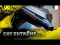 Cat extreme moulinet by black cat fishing